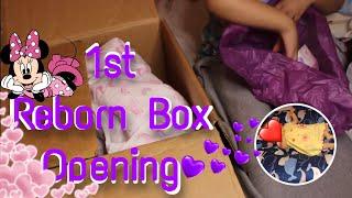 Very 1st Reborn Baby Box Opening 2022! | Mya Reborns