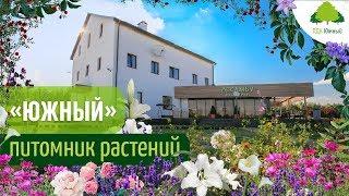 Питомник растений и саженцев Южный в Московской области | Растения для озеленения