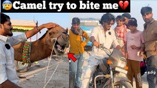 Camel try to bite me just miss| Ep -22 | Gujarat | white desert | TTF | motovlog | horse crossing