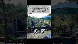 상일동 상대적 가성비의 고덕롯데캐슬베네루체 아파트 #고덕롯데캐슬베네루체 #상일동 #가성비아파트 #실거주아파트 #아파트임장