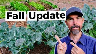 Grow Now: Fall Garden Update 2024 From Austin, Texas