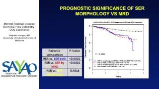 Minimal Residual Disease: Overview, Flow Cytometry, COG Experience - Stephen Hunger, MD
