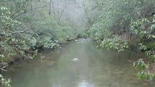 Hand Dredging Uwharrie Bedrock