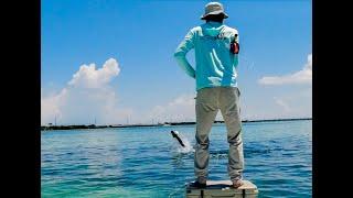 Florida Keys Fly Fishing For Tarpon