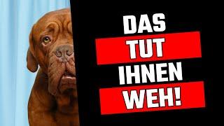 10 Alltägliche Dinge, die deinem Hund das Herz brechen