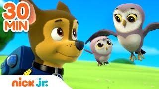 PAW Patrol Mother's Day Rescues! w/ Skye & Chase  | 30 Minute Compilation | Nick Jr.