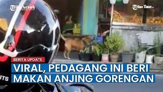 Aksi Mulia pedagang ini Beri Makan Anjing Gorengan jadi Viral di Sosmed
