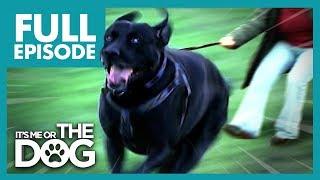 The Dogs That Walk Their Owners: Toadie and Smartie | Full Episode | It's Me or The Dog