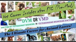 DVM Scope|salary|admission|universities|merit in PAKISTAN