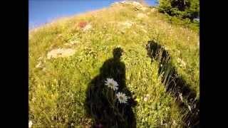 Walking in the French Alps