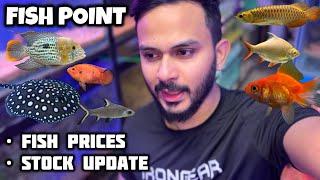 Fish Point Latest Update | Fish Prices Lalukhet Aquarium Market - Imran’s World