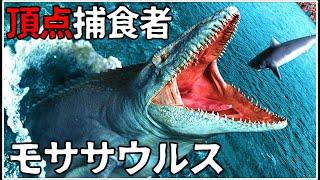 【ゆっくり解説】白亜紀の頂点捕食者 モササウルス