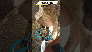 5 Reasons Why MDM Is The BEST MILKING MACHINE