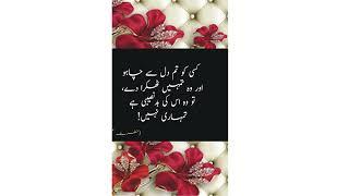 Islamic Quotes | Islamic Quotes Images | Wazifa For Husband Love | Islami Books Lovers #shorts