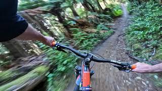 Old Exit @ Whakarewarewa Forest. Rotorua