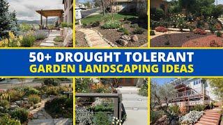 50+ Amazing Drought Tolerant Garden Landscaping Ideas 🪴