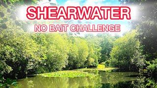 Things didn’t go to plan at Shearwater! No bait challenge!