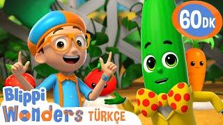 Meyve mi Sebze mi?  | Blippi Türkçe - Çocuklar için Eğitici Videolar