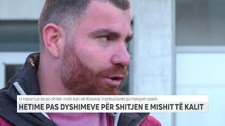 HETIME PAS DYSHIMEVE PËR SHITJEN E MISHIT TË KALIT | T7