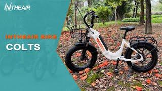 INTHEAIR Colts Folding Electric 750W Bike Show Details