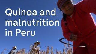 Quinoa and its consequences: malnutrition in Peru