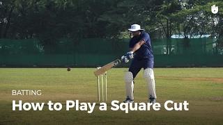 How to Play a Square Cut | Cricket