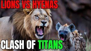 Explore the Clash of the Titans - Lions vs. Hyenas, a Fight for Territory