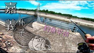 大排上竟有如此舒服的釣魚平台咬翻#嘉義#路亞