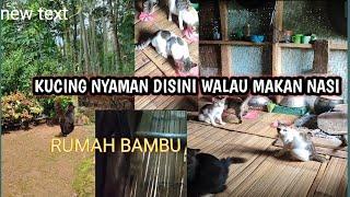 INI KAH YANG NAMANYAH  GUBUK BAMBU