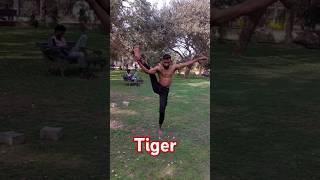 Tiger   #shorts #tiger #fitness #viralvideo #youtubeshorts