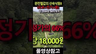 (도로+전기+물) 싹 다 갖춘 땅 -66% 완전 폭락!! 2,656평 4천만원~~ 자연을 벗삼아 나만의 낙원으로 만들수 있는 곳~~