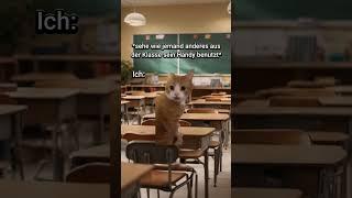 POV: Du schreibst einen Test und hast nicht gelernt #katzenvideos #katze #lustig #shorts #schule