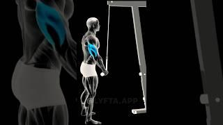 Arm Workout At Home (Biceps & Triceps)