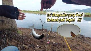 Ini rangkaian ombyok untuk mancing ikan belanak yang saya gunakan