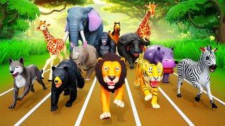 Wild Animals Running Race: Lion, Tiger, Elephant, Bear, Gorilla, Hippo, Fox Compete for the Win!