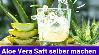 Aloe Vera Saft selber machen