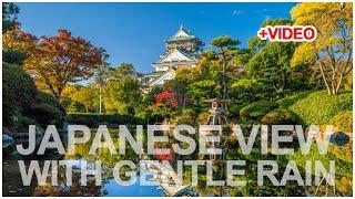 Japanese View with gentle rain Ambience, Country of Sakura, Calming, Relaxing and soothing