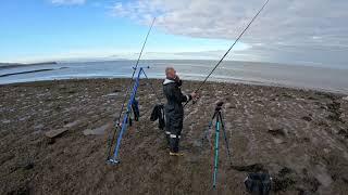 A Session At Hinkley Point Shurton With Somerset Tony. Sea Fishing The Bristol Channel Shore.Jan2025