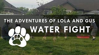 The Adventures of Lola and Gus: Water Fight