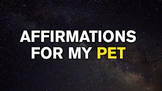 For the Love of Pets | Affirmations For My Pet | It Will Help to Bond with Your Pet | Manifest