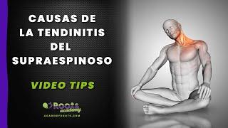 TENDINITIS DEL SUPRAESPINOSO #5 Causas (MUY IMPORTANTES) a tener en cuenta en el DOLOR de HOMBRO