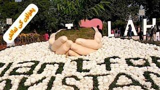 Jilani park Lahore winter festival//Race course park// Flower Exhibition at Jilani park