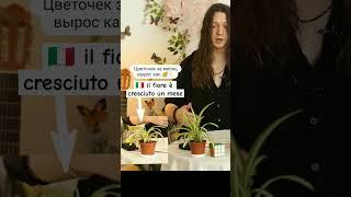 уроки итальянского языка для начинающих | итальянский язык #итальянскийязык #итальянский
