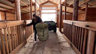 Cleaning Up the New Barn & Adding Potted Blue Spruce Trees! 🪴 // Garden Answer