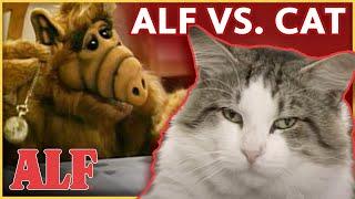 ALF's Best Cat Meow-ments 