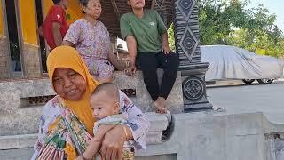 Lihat tanaman kacang emak disawah malah debat sama bapak