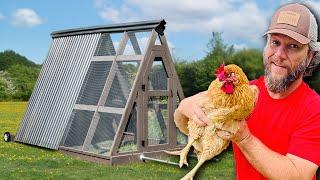 How To Build A Predator Proof Chicken Coop