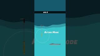 Sonar Buoy