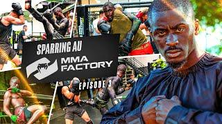 Sparring  MMA  | Entraînement Combat | WILLIAM GOMIS