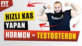 Hızlı Kas Yapma Hormonu ( Testosteron Nedir )